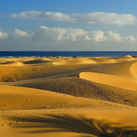Modern Iguazu شقة